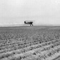 Dusting with an airplane