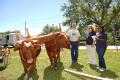 FEMA community relations workers talk to a resident with cows in Iowa