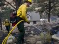 Firefighters working in Colorado