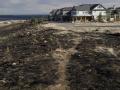 burned area surrounding a subdivision in Colorado