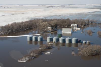 a farmstead falls prey to Red River floodwaters