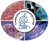 Comparative Pathobiology Group Logo. Circle with microscope graphic and lab text in center with four areas surrounding: humans with rodent, slide with tissue sample, cell with nucleus, and a group of muscle cells.