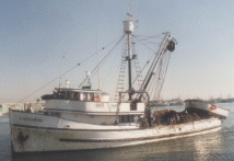 Purse Seine Fishing Vessel - Sustainable Fisheries