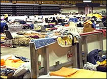 Photo of evacuation center.