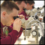 Analysts viewing evidence through microscopes.