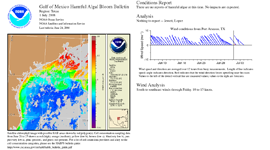 Image of Harmful Algal Bloom Bulletin