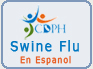 swine flu information