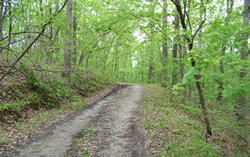 Missouri Country Lane