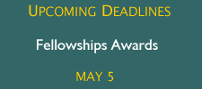 Fellowships Awards