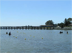 Placing seed buoys in San Francisco Bay.