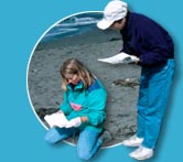 volunteers on the beach