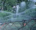 Photo of mechanical water irrigation by spraying