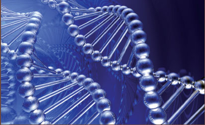 DNA structure