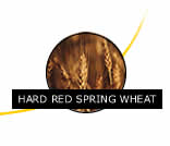 Hard Red Spring Wheat