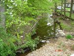 Location 40 - Looking downstream at Dogwood Run from Dogwood Road bridge