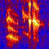 S Pacific blue whale spectrogram