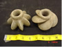 Item number 073.   Two carved stone mace heads (10 x 6 cm approx.).  These may be Inca in origin.