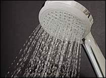 Photo of water coming out of shower head.