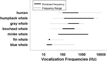 frequency ranges