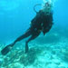 Diver at the site of a 19th century shipwreck in Florida