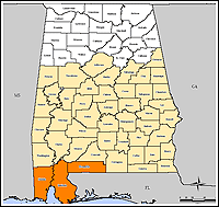 Map of Declared Counties for Disaster 1593