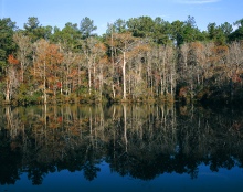 Photo of Alabama autumn