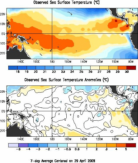 Weekly Sea Surface Temperature and Anomalies