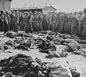 While touring the newly liberated Ohrdruf camp, General Dwight Eisenhower and other high ranking U.S. Army officers view the bodies of prisoners who were killed during the evacuation of Ohrdruf. Ohrdruf, Germany, April 12, 1945.