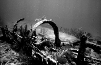 Shipwreck photo