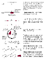 Strategy for generating conventional knockout mice.