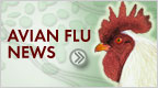 Avian Flu News