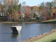 A section of Pohick Site 3 in Fairfax, Virginia. Fairfax County image.