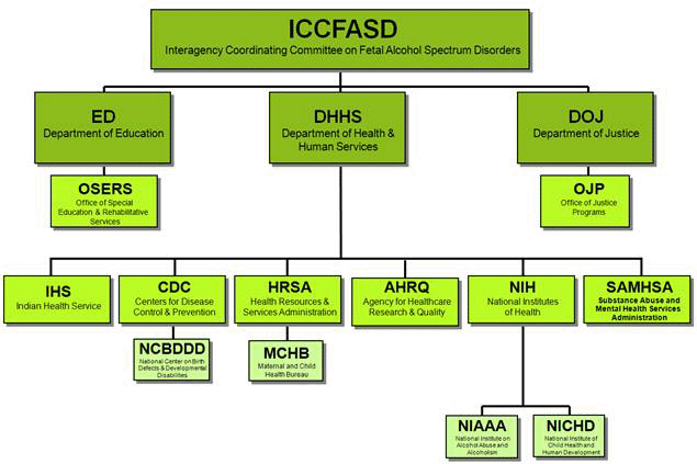 ICCFASD Org Chart