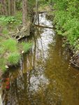 Location 37 - Dogwood Run at SR 213 looking downstream