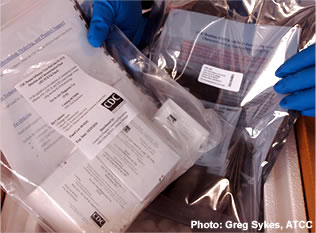 CDC-developed PCR diagnostic test to detect novel H1N1 virus - Photo by Greg Sykes, ATCC