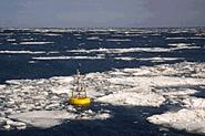 photo of Bering Sea