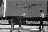 Inspecting a freight train from Mexico for smuggled immigrants. El Paso, Texas.