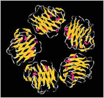 Photo of c-reactive protein