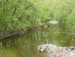 Location 42 - Little Elk Creek looking downstream from SR 279 bridge - good riparian zone, quarry spall bulb in creek