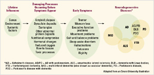 Diagram of progression of symptoms