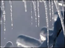Photo of icicles.