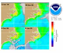 Ocean color satellite imagery