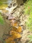 Location 1 - Ditch with iron stained water, draining into Little Elk Creek