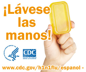 Lávese las manos con agua limpia y jabón. Para obtener más información consulte www.cdc.gov/h1n1flu/espanol/