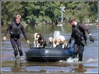 Photo of two rescuers pulling dogs in an inflatable boat.