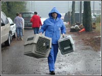 Photo of a rescuer carrying two animal crates.