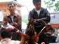 Photo of a Louisiana crayfish caught from Lake Liangzi, China, with help from local fishermen.