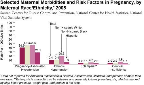 Selected Maternal Morbidities and Risk Factors in Pregnancy, by Maternal Race/Ethnicity, 2005