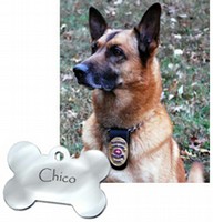 Chico