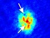 Computer graphic showing how quantum vortices form when atoms are allowed to expand for 50 thousandths of a second.